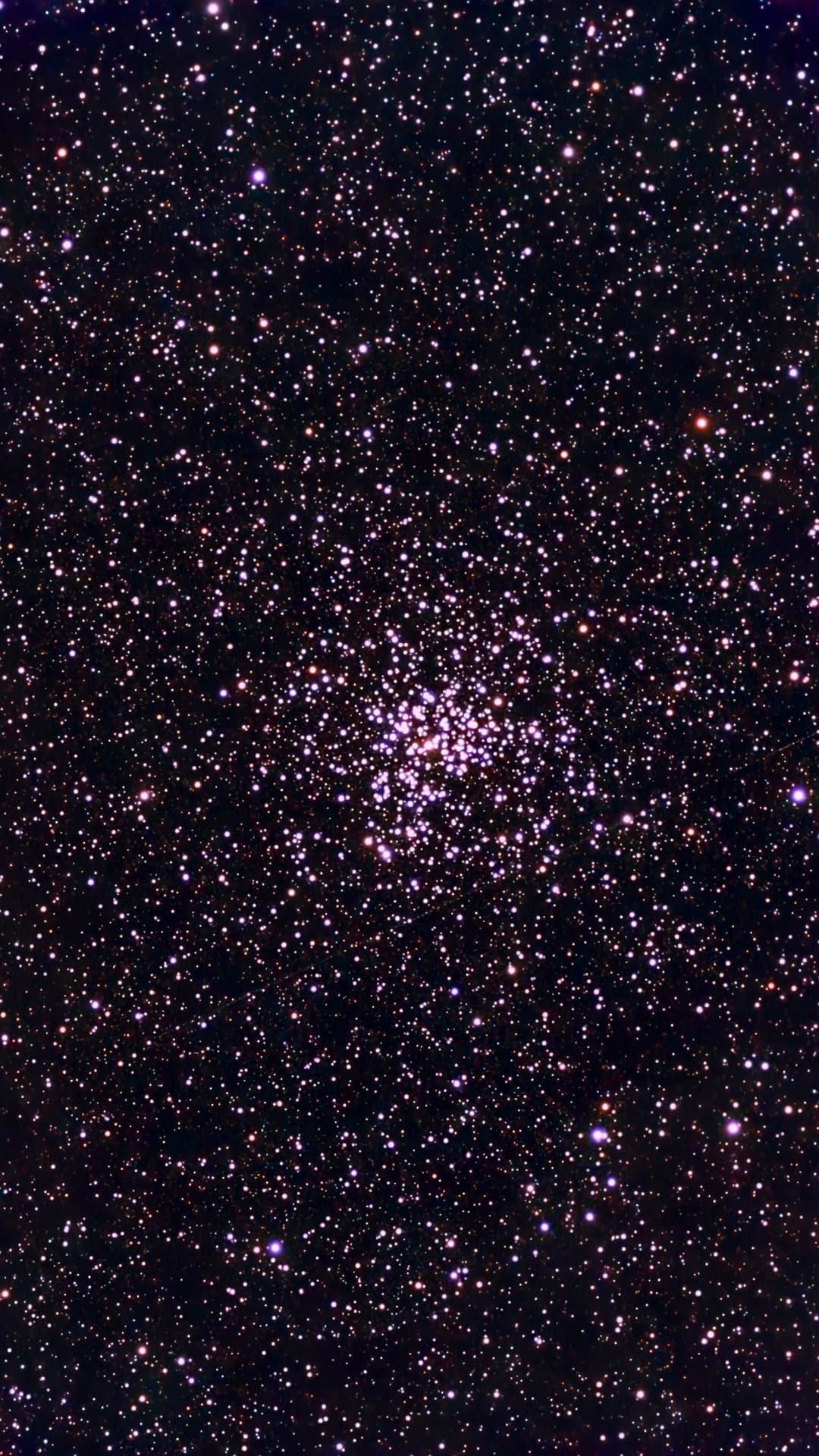 тестовый баннер